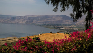 Sea of Galilee