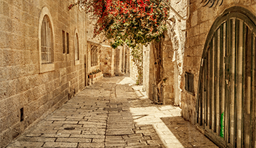 vacation tours to israel